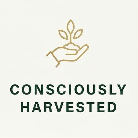 whatsapp image 2026 02 15 at 8.53.02 pm